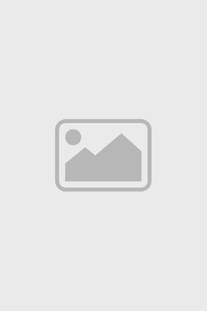 《凡尘仙烬：我在都市当狂龙护红颜》宣传海报